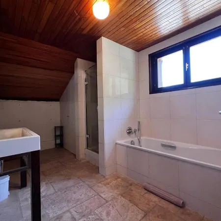 Apartment Walkable To On Bus Route